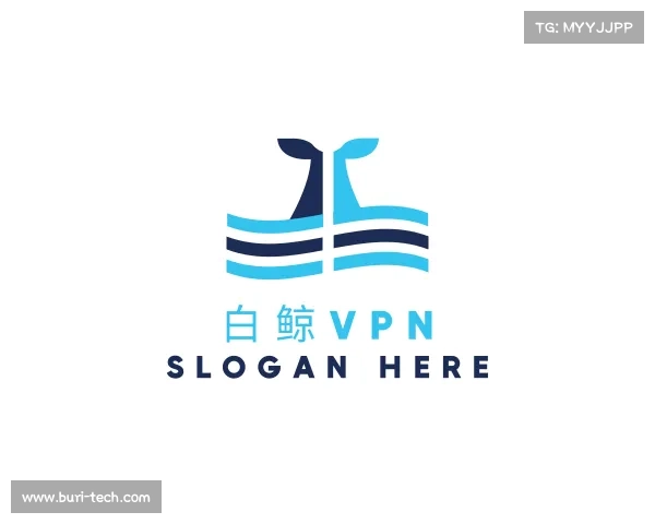 解读白鲸VPN
